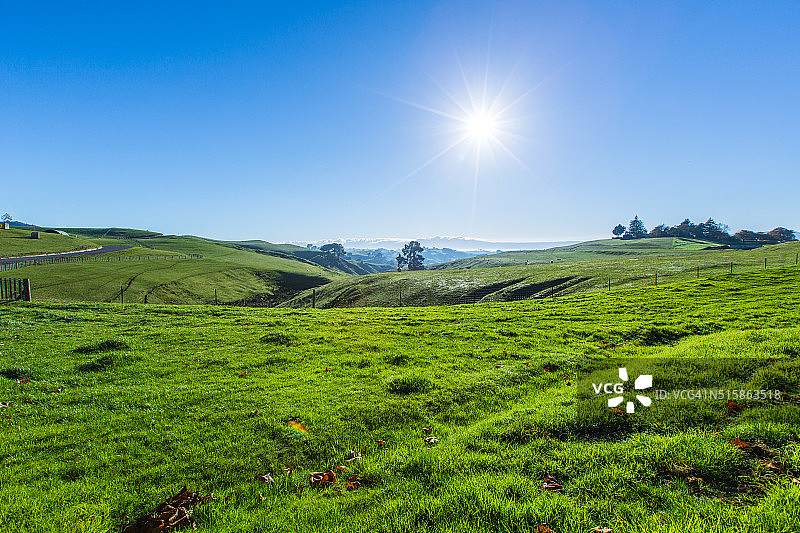 新西兰起伏的草山图片素材