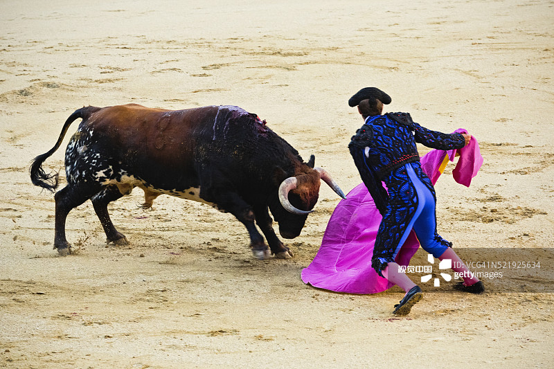 马德里拉斯温塔斯纪念性斗牛场的斗牛图片素材
