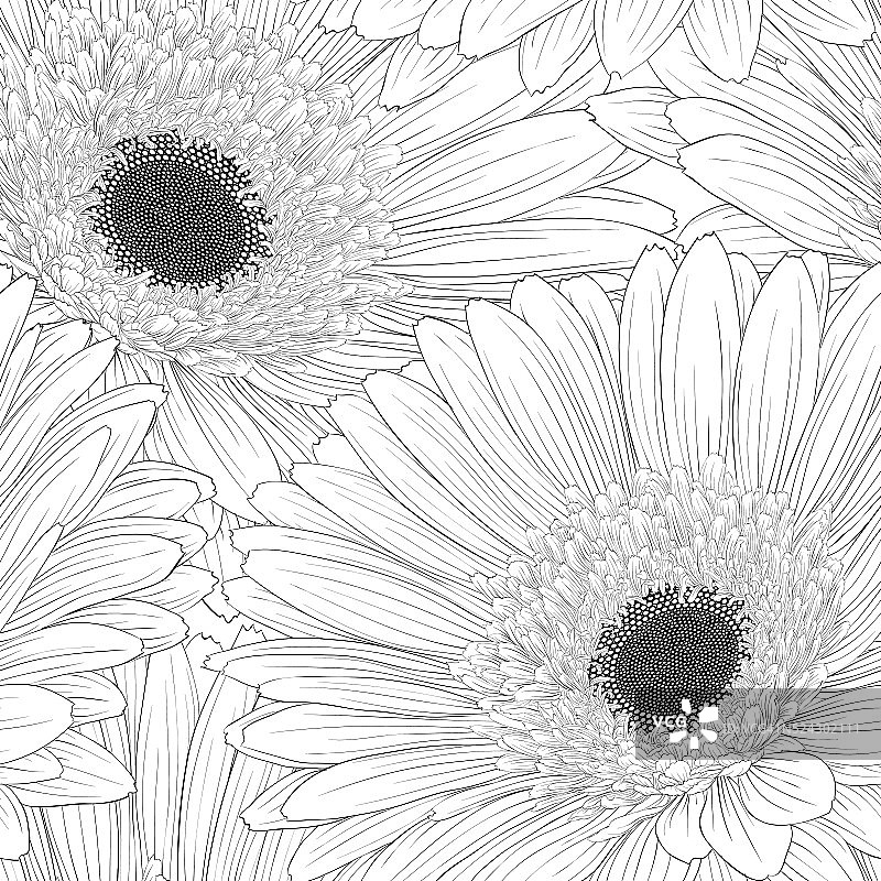 美丽的黑白无缝背景与花。图片素材