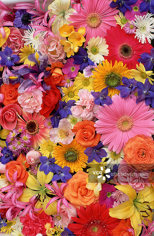 五彩缤纷的花朵蒙太奇图片素材