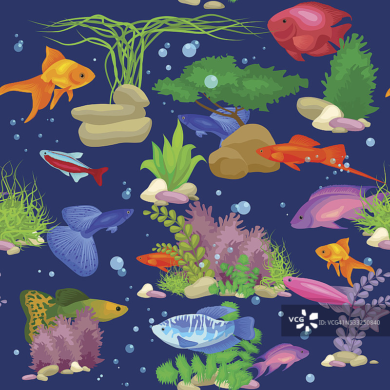 水族鱼类、海藻水下无缝矢量图图片素材