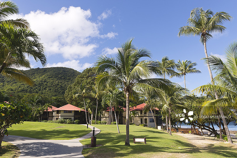 加勒比度假海滩周围有棕榈树，草伞图片素材