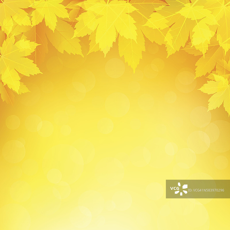 秋天，秋天的背景是金黄色的枫叶图片素材