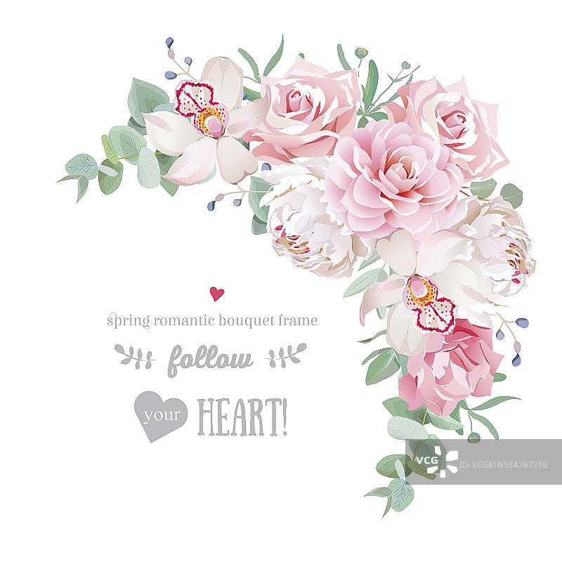 精致的花卉向量框架牡丹，山茶，玫瑰，兰花，康乃馨图片素材