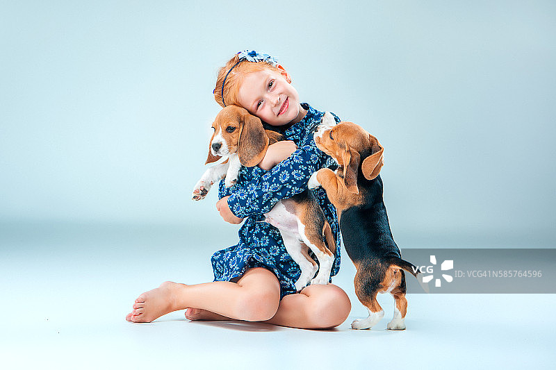 灰色背景上的快乐女孩和两只小猎犬图片素材