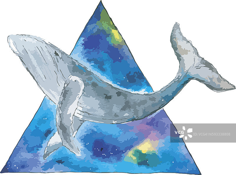 水彩鲸鱼在空间三角形。图片素材