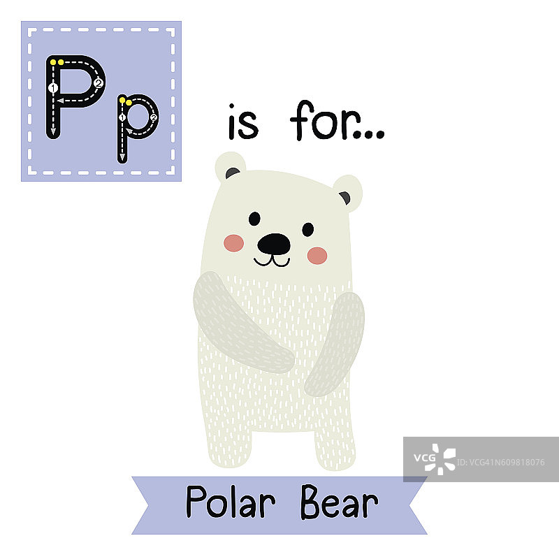 字母P跟踪。北极熊站。图片素材
