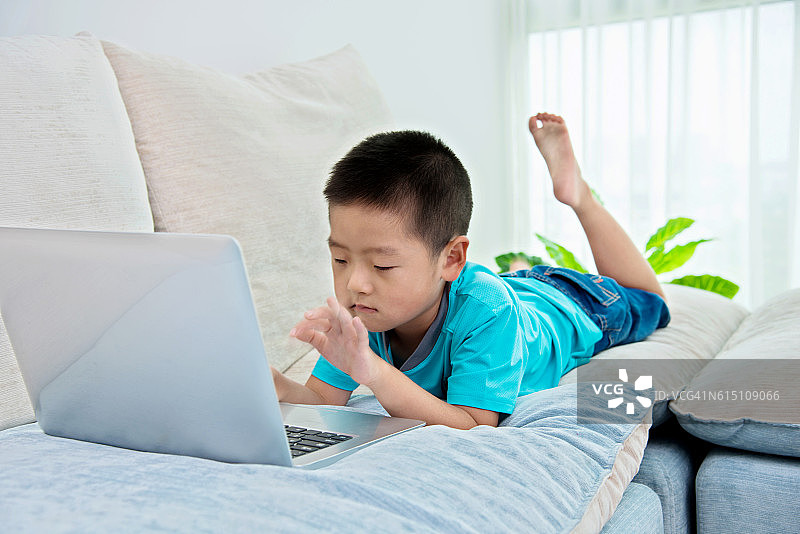 小男孩在沙发上用笔记本电脑图片素材