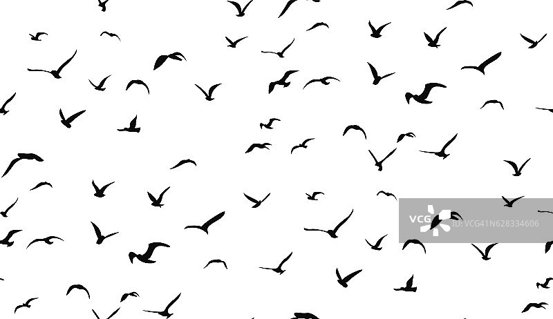 海鸥在天空中飞翔，无缝的矢量图案图片素材