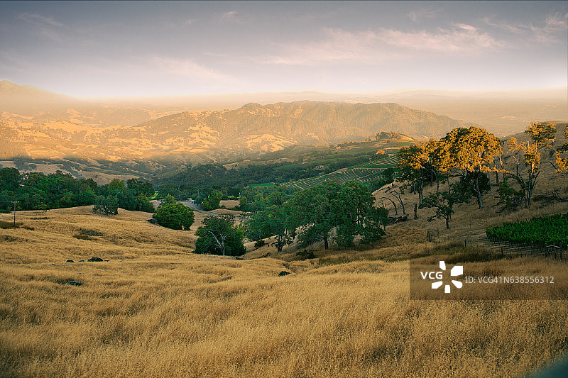 加州纳帕谷葡萄园的日出。图片素材