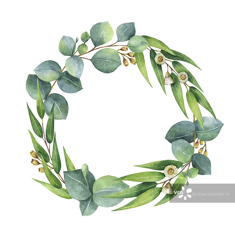 水彩圆形花环与桉树叶和树枝。图片素材