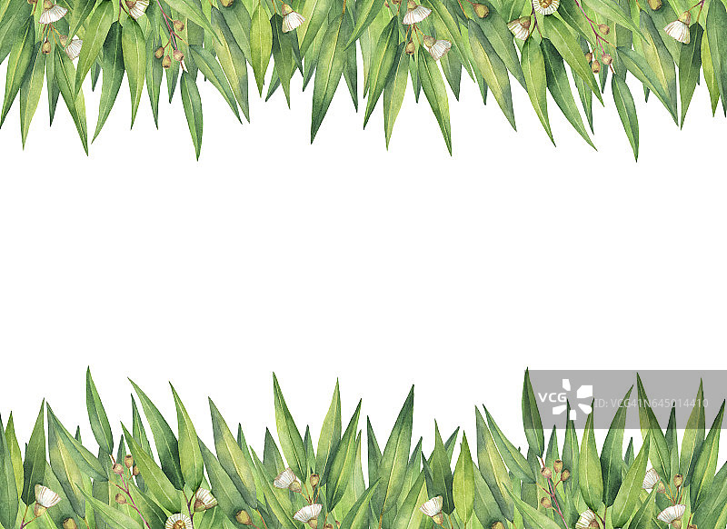 水彩绿色的花卡片与桉树叶和树枝孤立在白色的背景上。图片素材