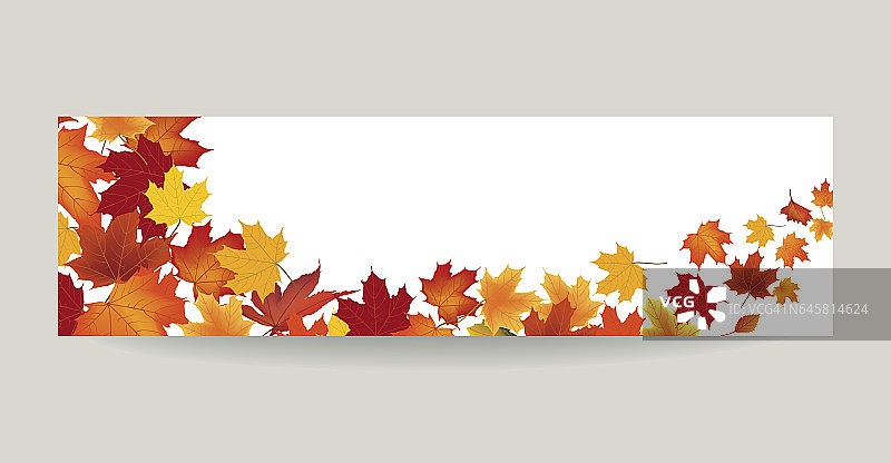 秋叶自然的旗帜。秋叶背景。花的季节图片素材