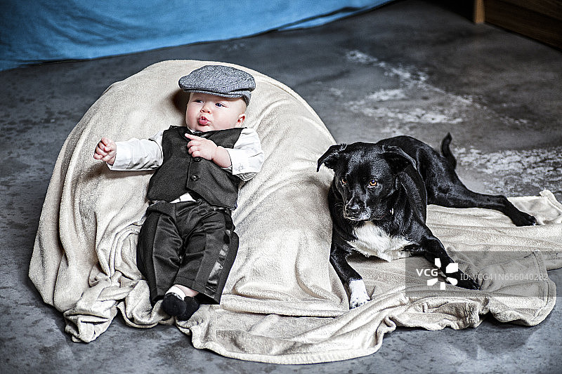 穿着西装的婴儿和黑狗坐在垫子上。图片素材