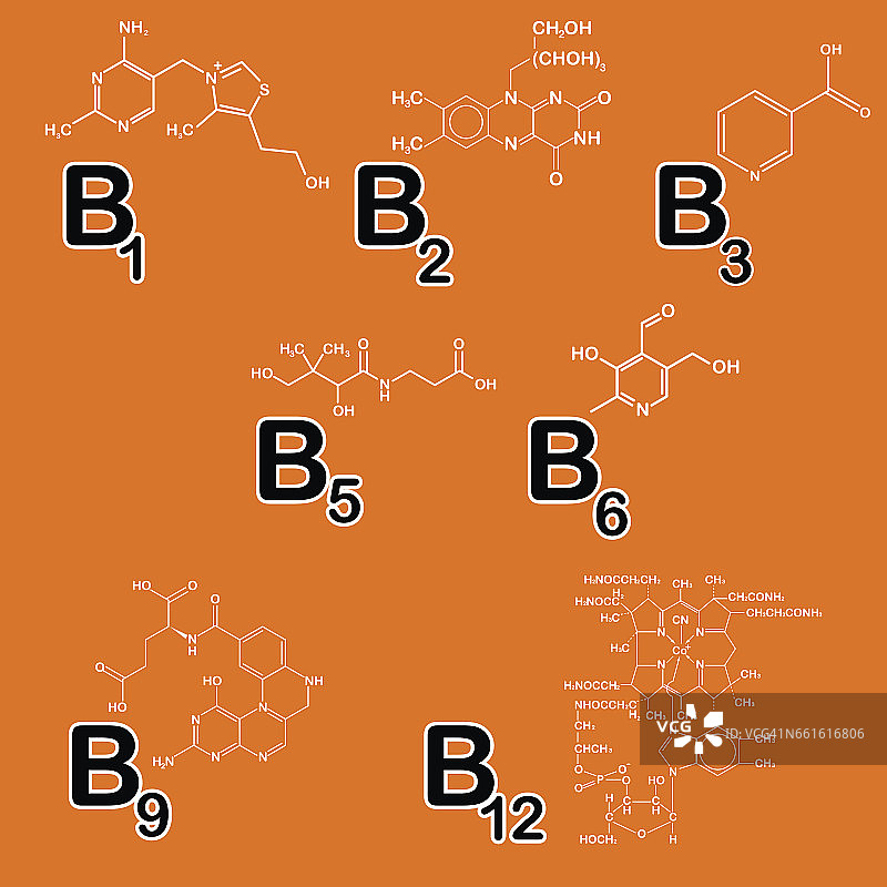 B组维生素。健康的生活理念。维生素B1 B2 B3 B5 B6 B9 B12。矢量插图。结构化学配方收集医药保健，美容广告图片素材