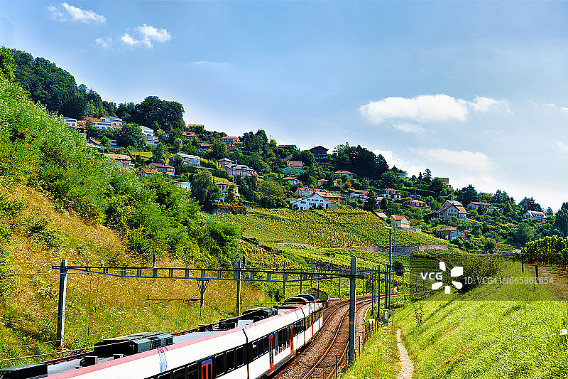 拉沃葡萄园梯田徒步旅行的火车图片素材