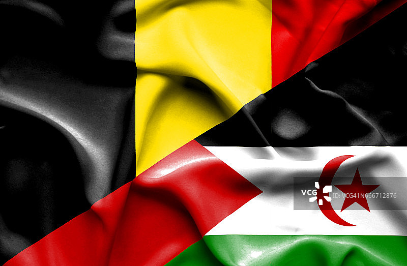 挥舞着西撒哈拉和比利时的旗帜图片素材