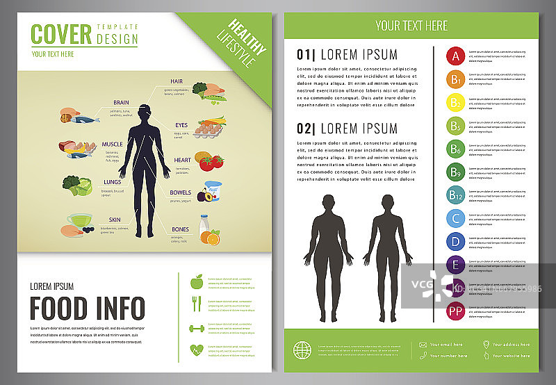 健康生活手册设计模板。健康饮食的概念。食品和饮料。向量。图片素材