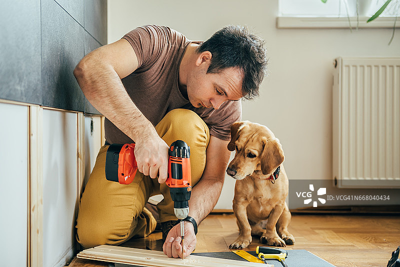 男人和他的狗在家里做装修工作图片素材