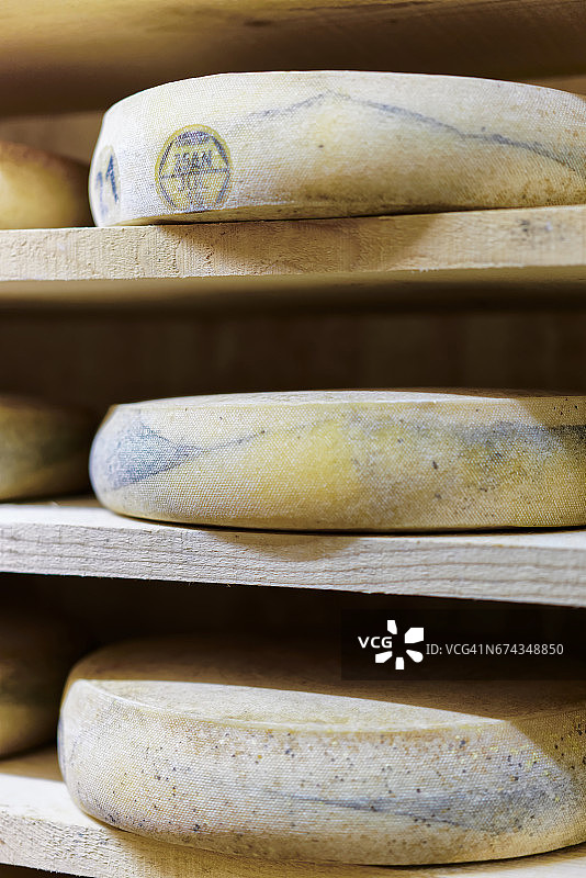 Comte陈年奶酪在成熟的酒窖弗兰科奶油图片素材