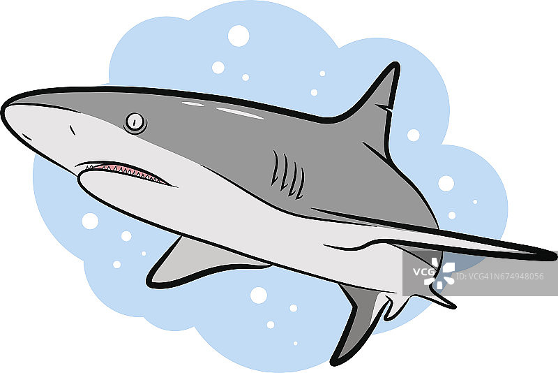 游泳灰色鲨鱼矢量卡通图片素材