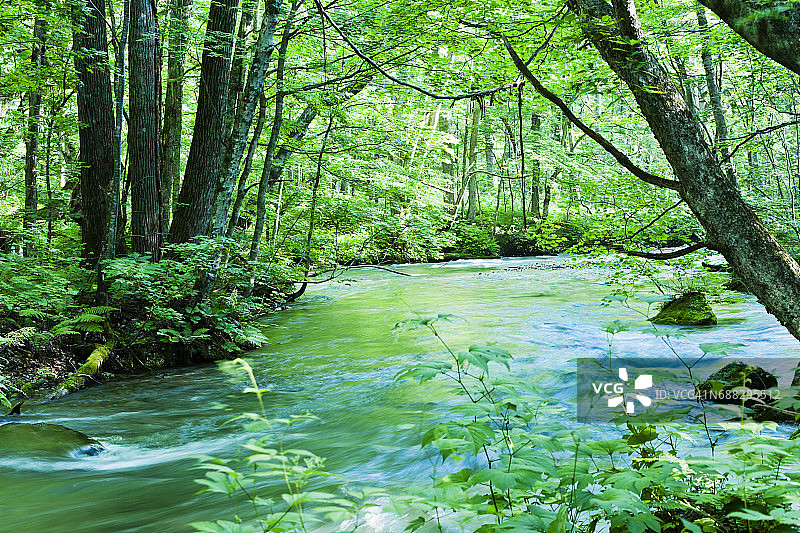 日本宁静的山溪景色图片素材