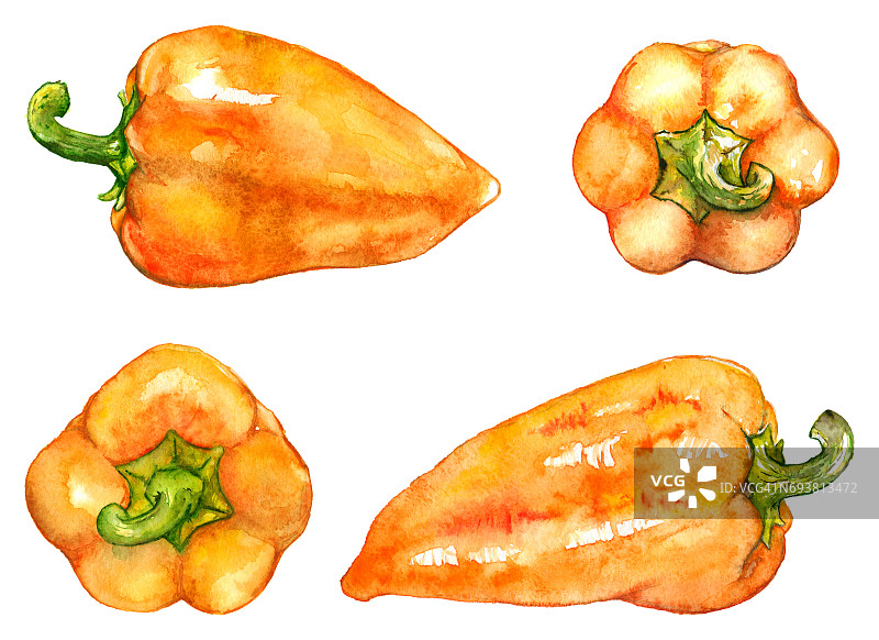 水彩橙黄甜钟椒蔬菜集孤立图片素材