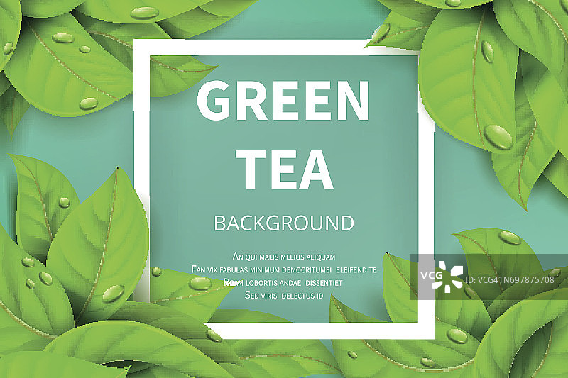 绿茶叶向量自然背景图片素材
