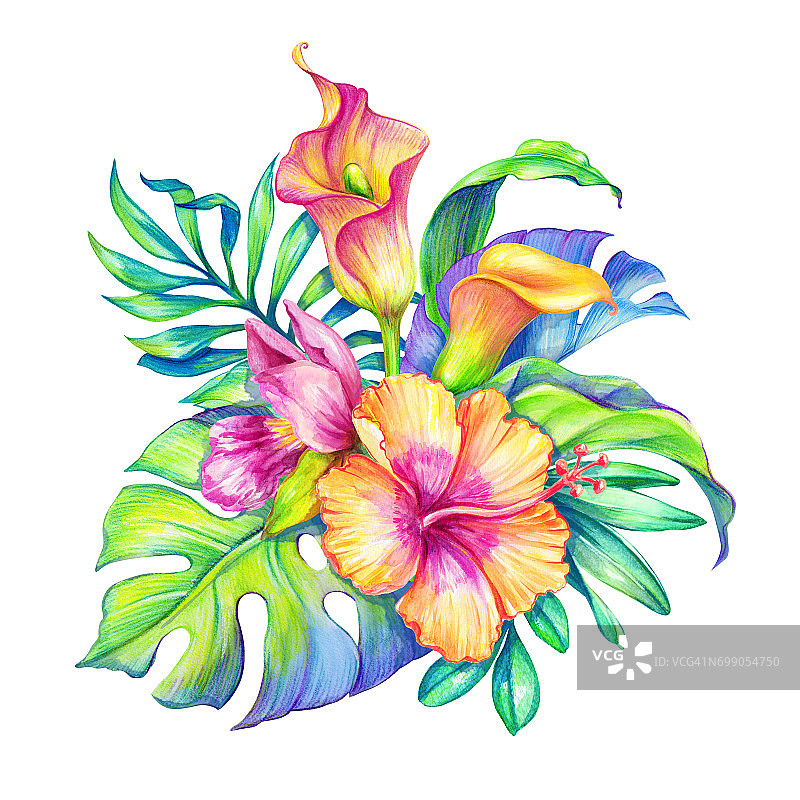水彩花卉插图，异国情调的自然，热带花束，兰花，木槿，海芋百合，绿色棕榈叶，孤立在白色的背景图片素材