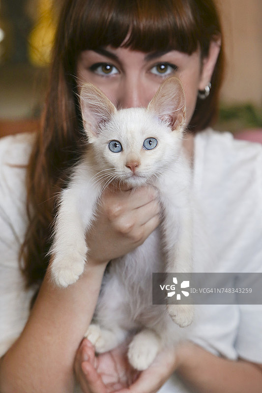 背景是白色小猫和主人的肖像图片素材