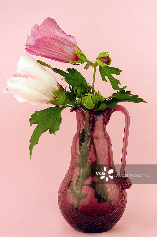 创造性的花瓶图片素材