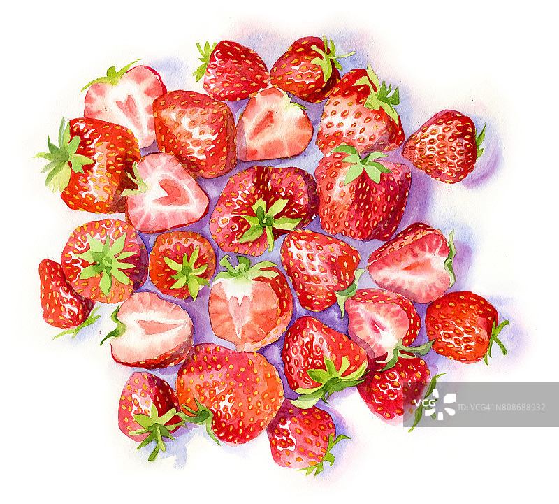 很多草莓都是俯视图。蓝白背景上的浆果。水彩插图。图片素材