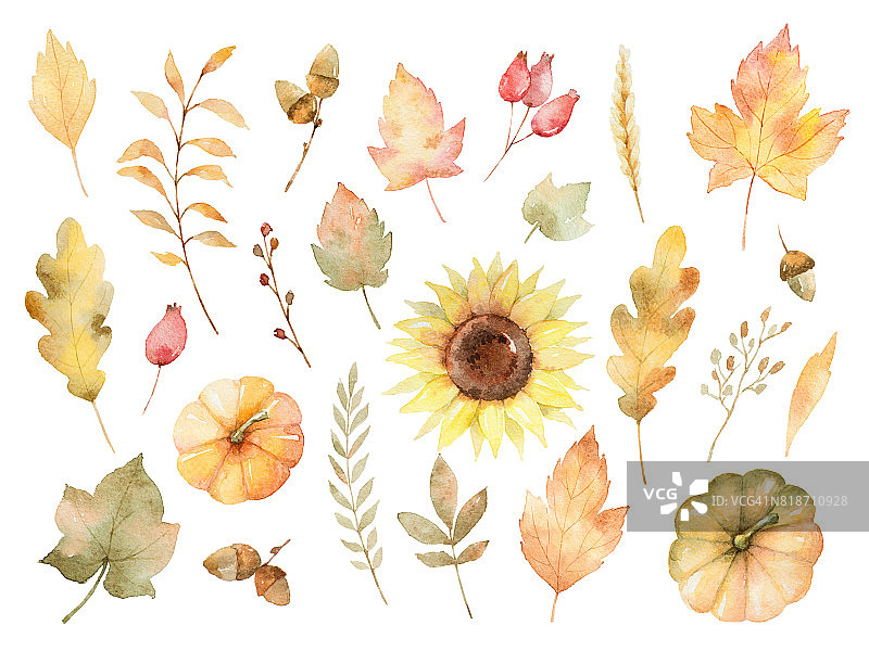 水彩秋天的叶子，树枝，花和南瓜孤立在白色的背景。图片素材
