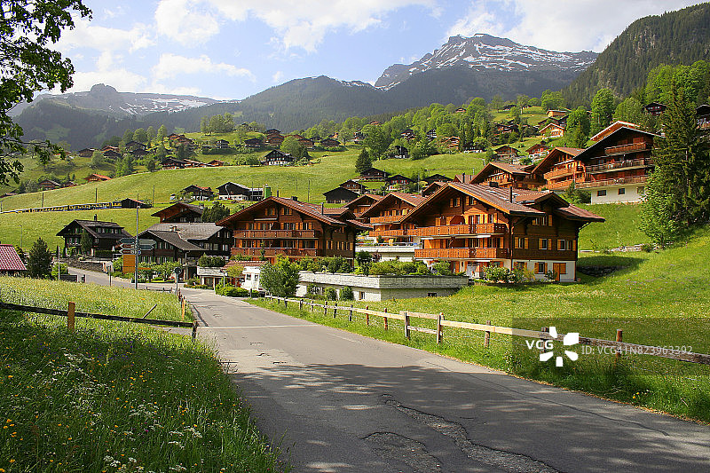 格林德沃阿尔卑斯村，乡村瑞士木屋街道-童话般的风景在鲜花盛开的春天:田园诗般的高山花坛山谷和野花草地的乡村，戏剧性的白雪覆盖的阿尔卑斯山，伯恩斯高地，瑞士阿尔卑斯山图片素材
