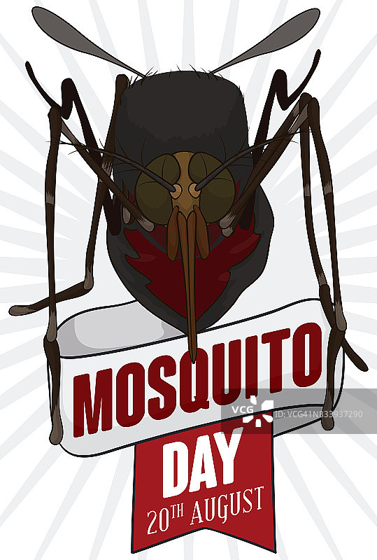 “蚊子飘带”纪念世界蚊子日图片素材
