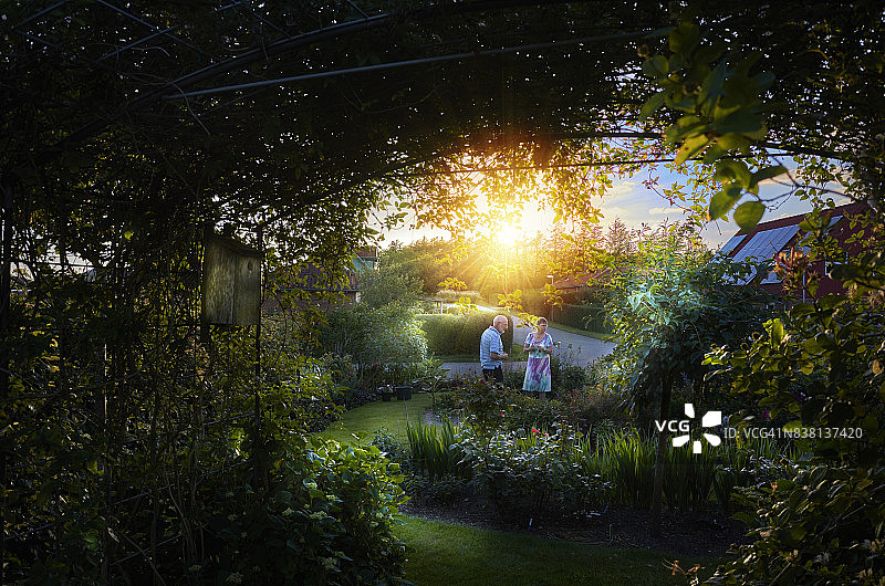 小镇花园与日落镜头光晕图片素材