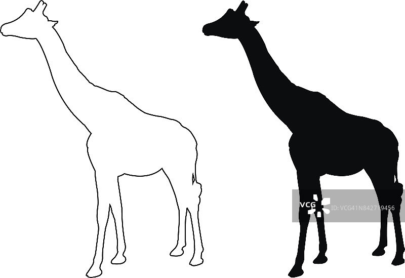 长颈鹿轮廓图片素材