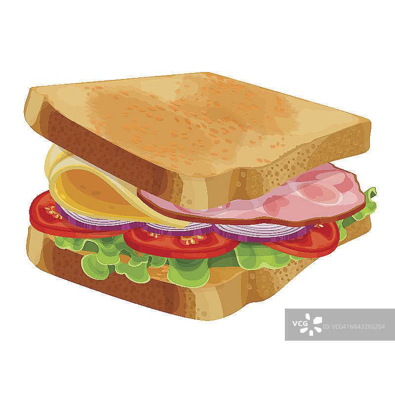 烤三明治配生菜，番茄片，洋葱，芝士图片素材