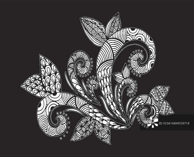 美丽的黑白花和叶孤立。插图葡萄-植物，花，花边-纺织品，画框，绘画-活动图片素材