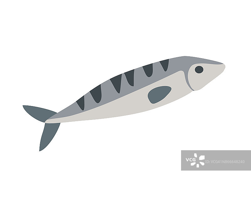 简单的鱼矢量插图，孤立在白色。图片素材