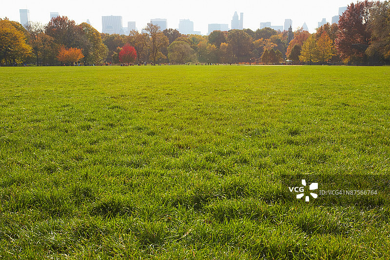 纽约市中央公园的大草坪图片素材