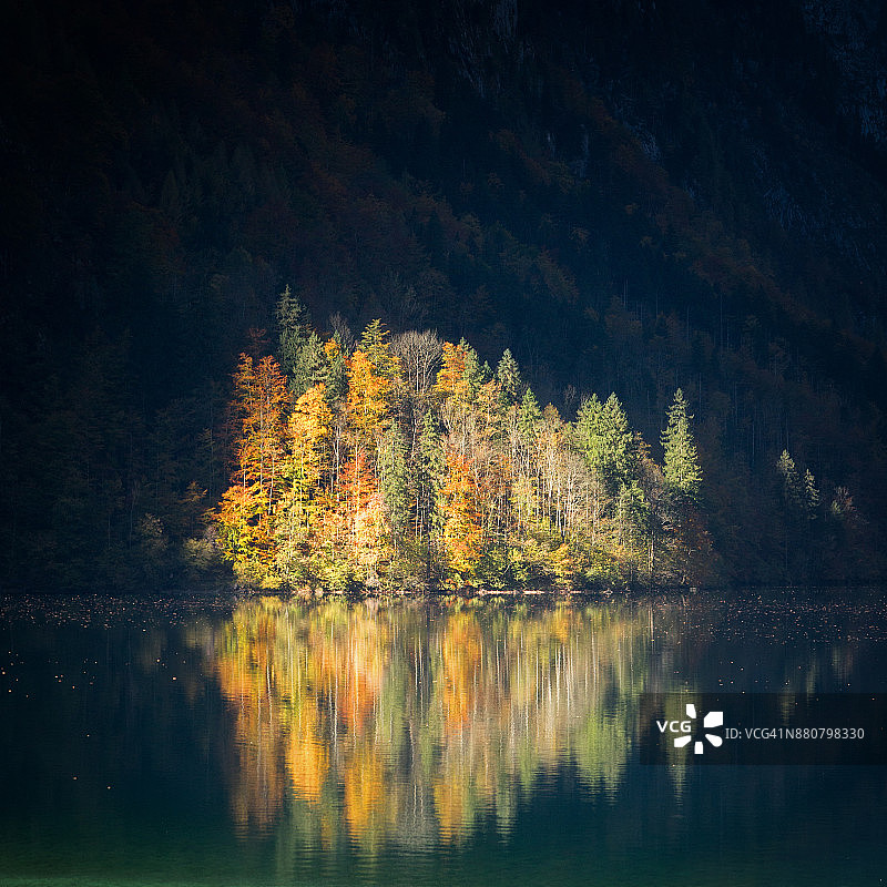 德国巴伐利亚阿尔卑斯山脉，欧伯斯湖田园诗般的秋天风景图片素材
