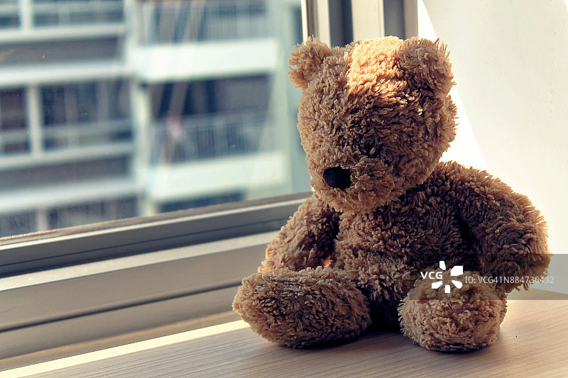 棕熊玩具坐在窗边的阴影里图片素材