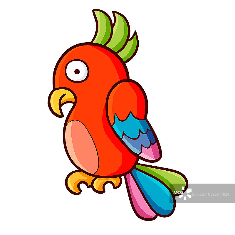 色彩鲜艳的鹦鹉图片素材