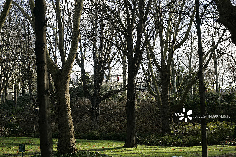 一个人走在人行桥上，在远处的背景与绿色草地在前景在Parc Bercy在巴黎在一个寒冷的12月的一天图片素材