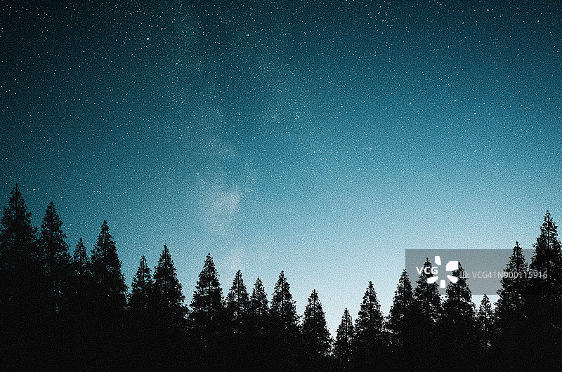 针叶林上空神秘的夜空图片素材