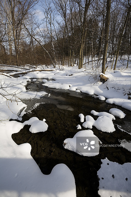 雪、河流、树林图片素材