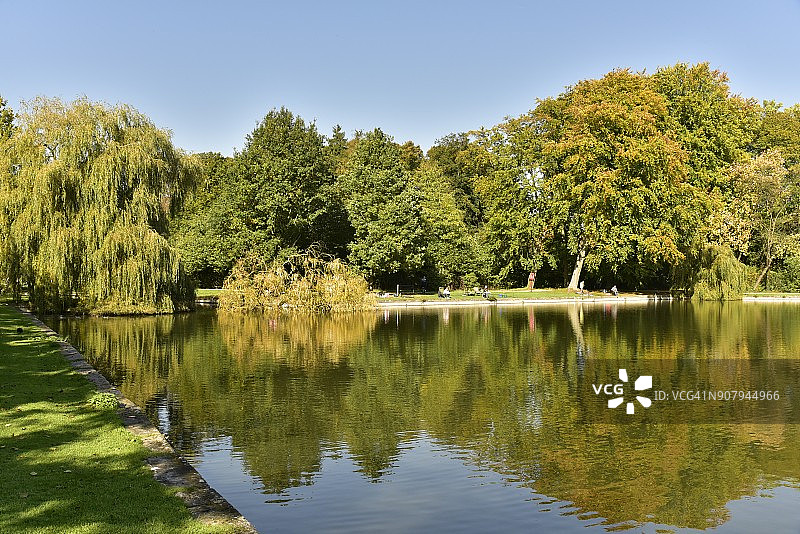 秋天的林地映照在主池塘上图片素材