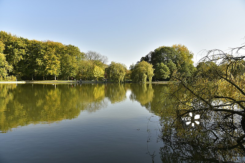 秋季林地对主池塘的完美镜面效果图片素材
