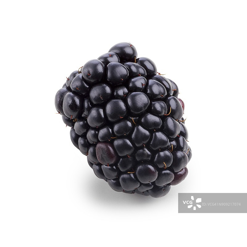 黑莓图片素材